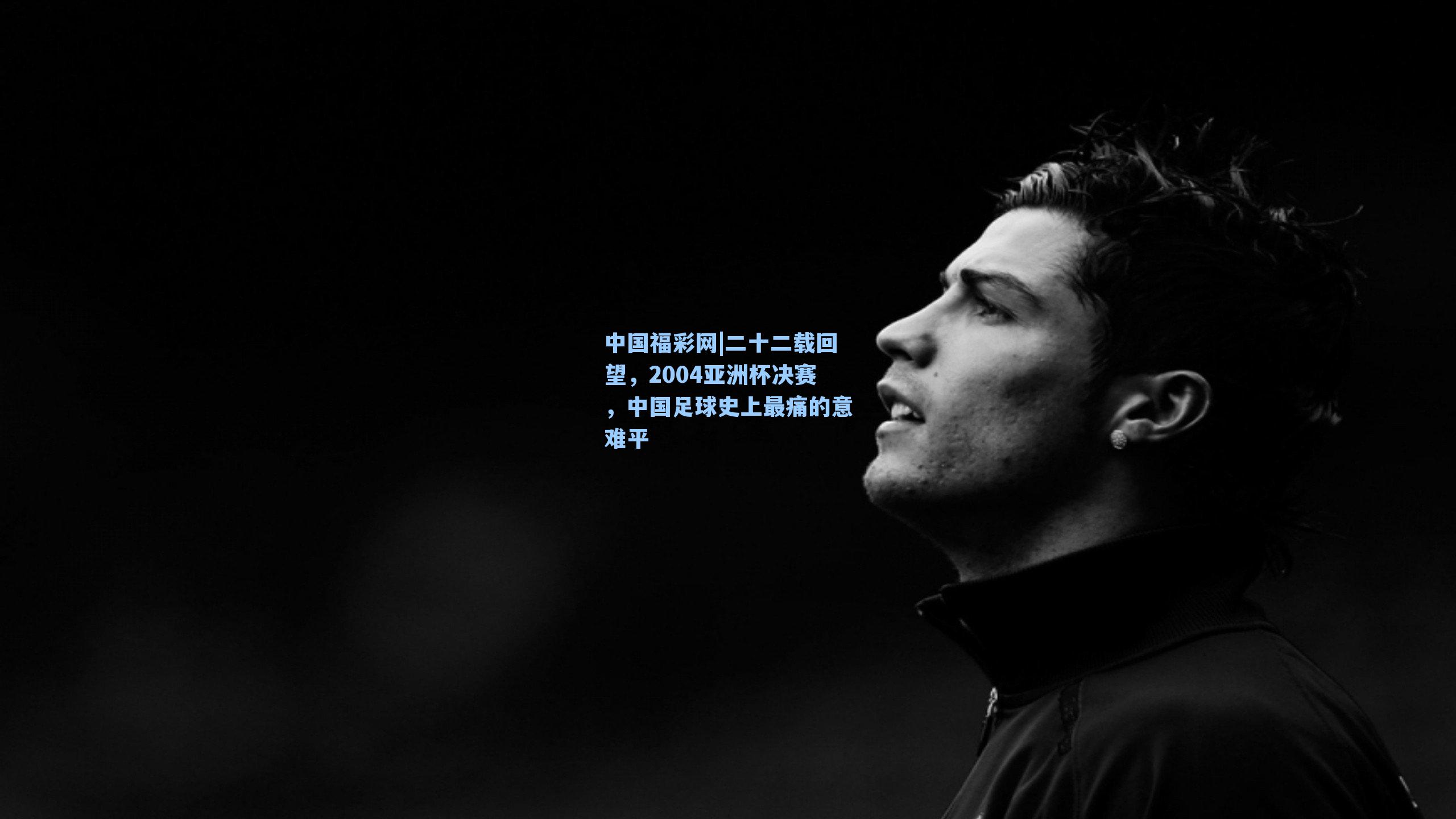 二十二载回望,2004亚洲杯决赛,中国足球史上最痛的意难平