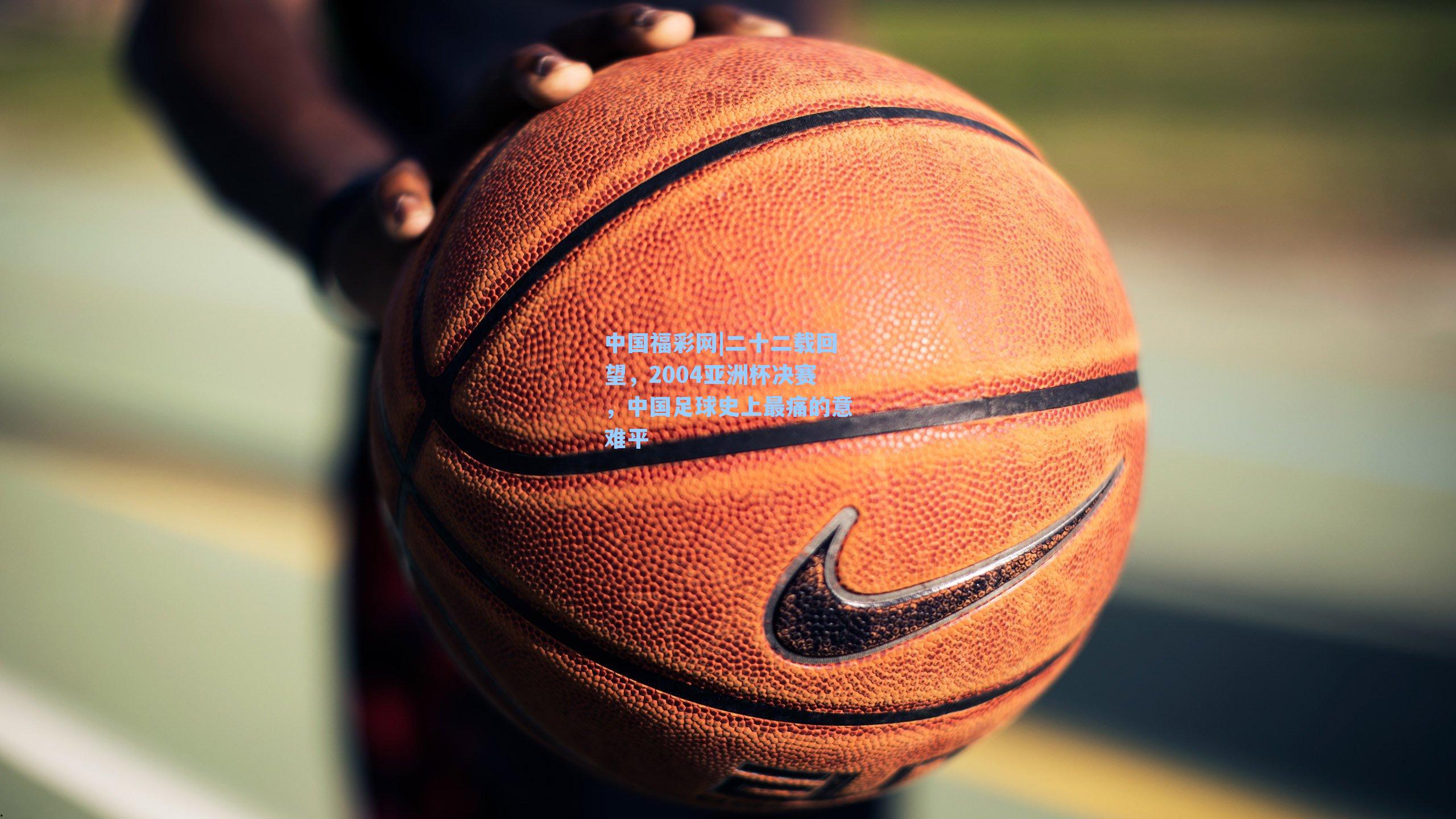 二十二载回望,2004亚洲杯决赛,中国足球史上最痛的意难平