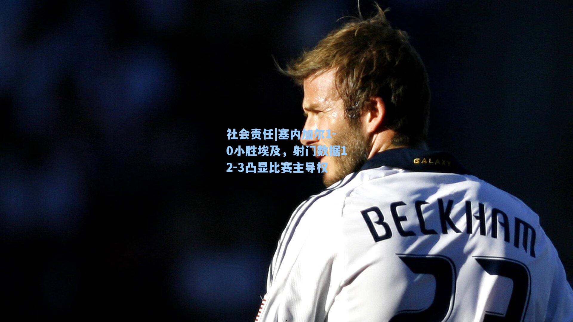 社会责任|塞内加尔1-0小胜埃及，射门数据12-3凸显比赛主导权