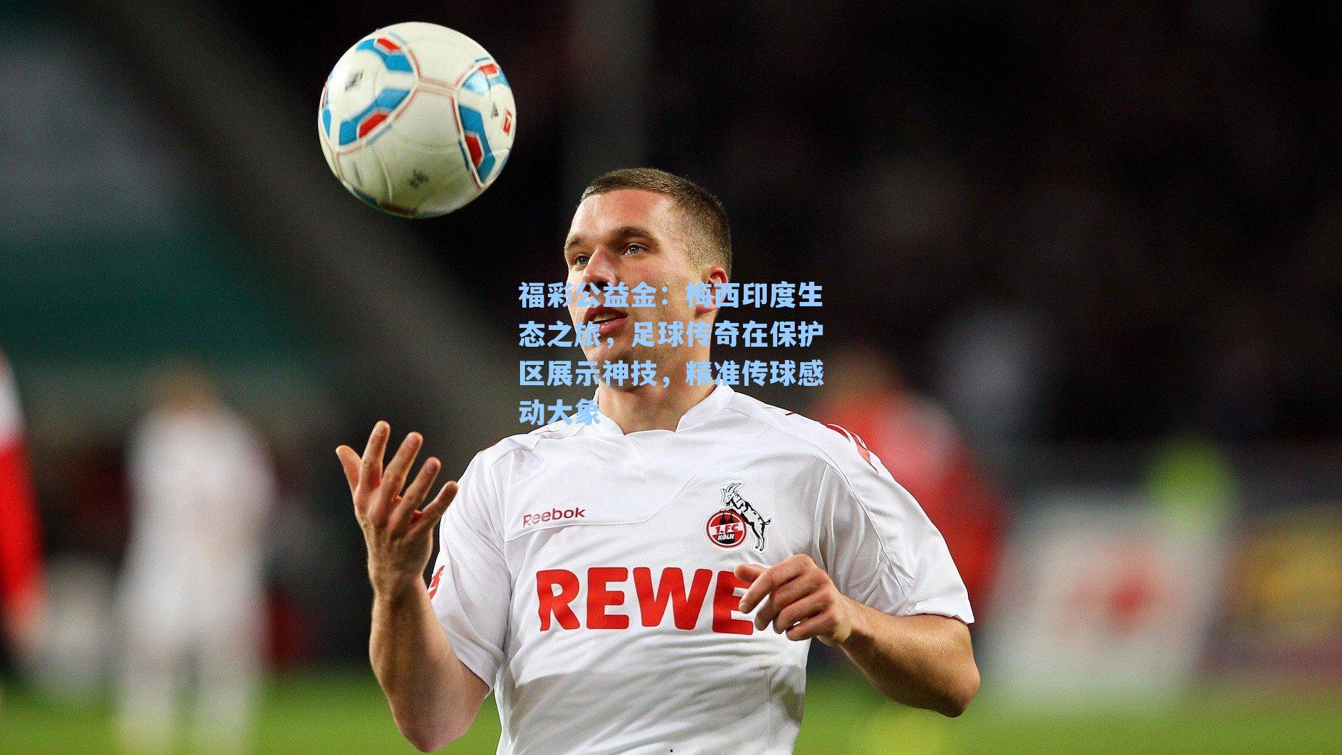 梅西印度生态之旅，足球传奇在保护区展示神技，精准传球感动大象