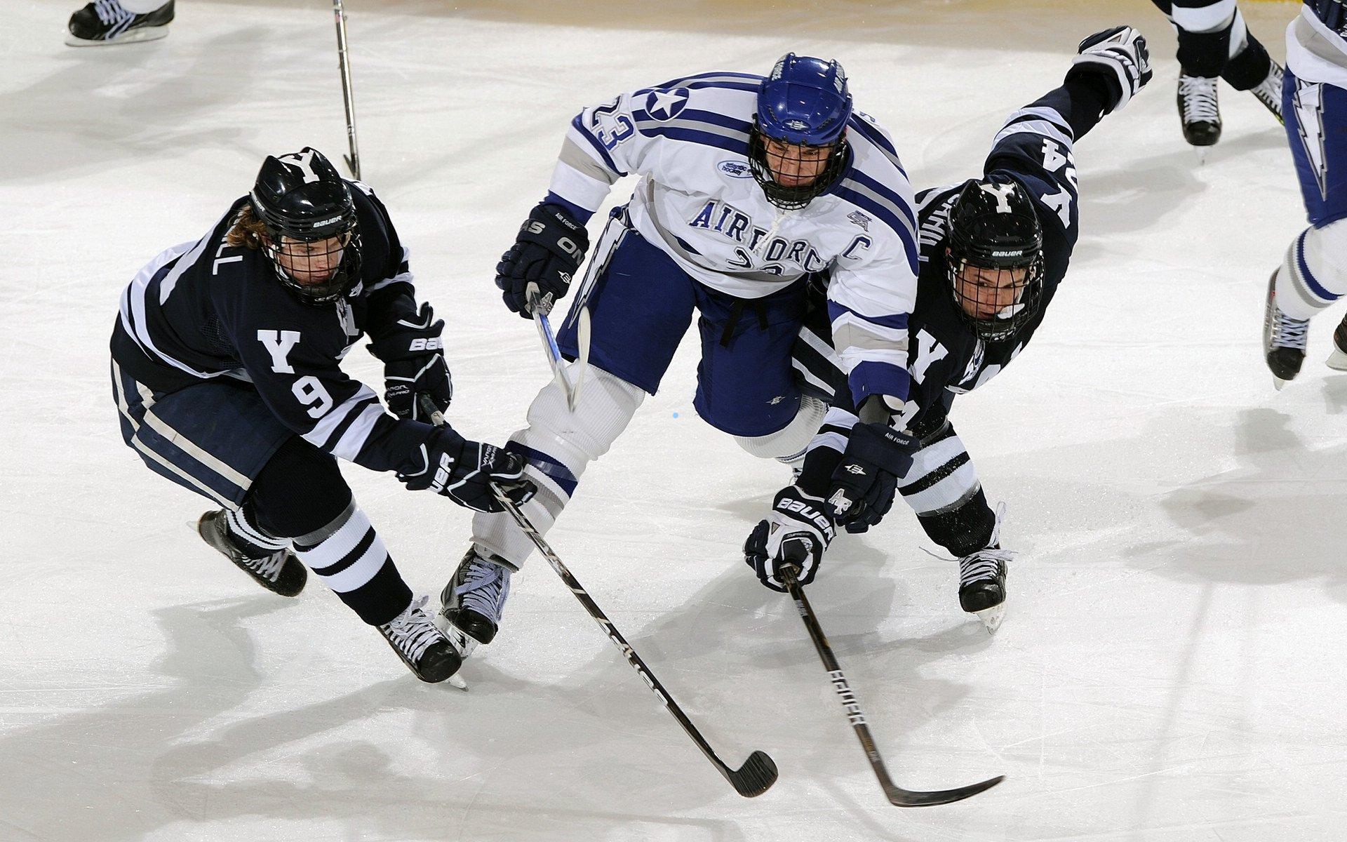 格斗巅峰夜，桑德哈根与里德尔双双以第二回合技术性击倒闪耀赛场